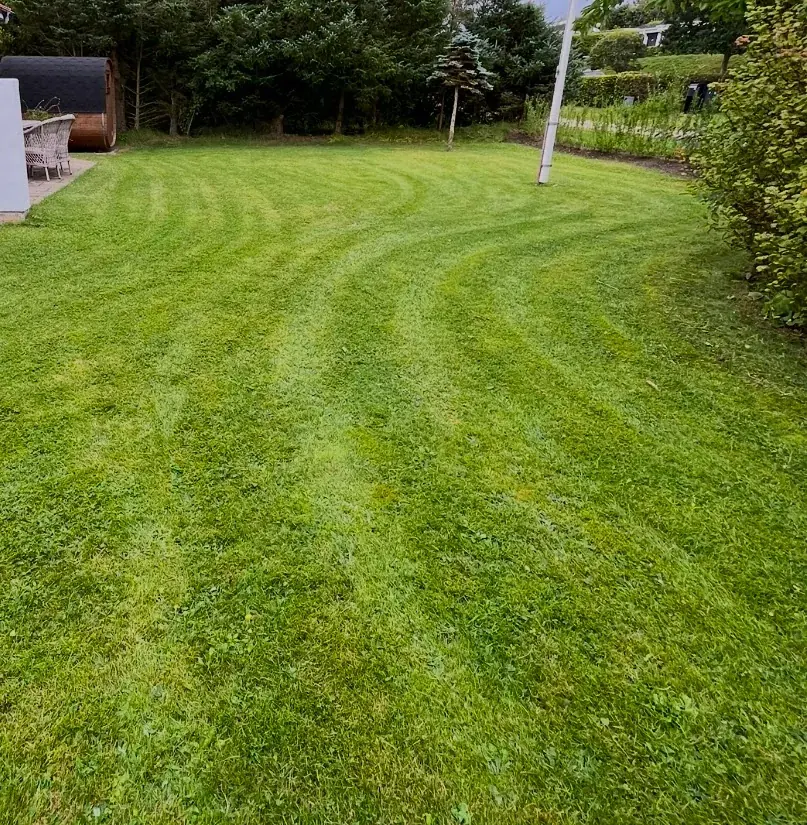 Nyslået græs med klippespor og en flagstang i baggrunden.
