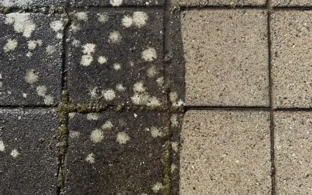 Flisebelægning før og efter rensning