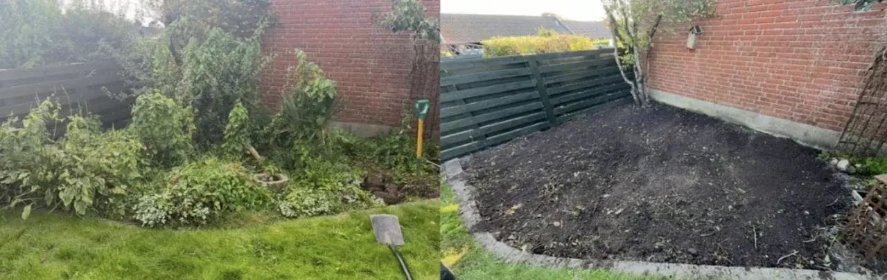 Beplantning ved en husmur før og efter rydning.